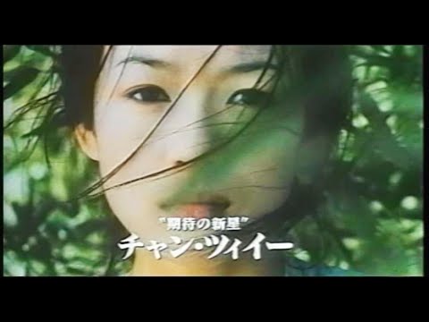 映画「グリーンデスティニー」日本版予告
