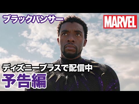 ブラックパンサー／予告編｜ディズニープラス