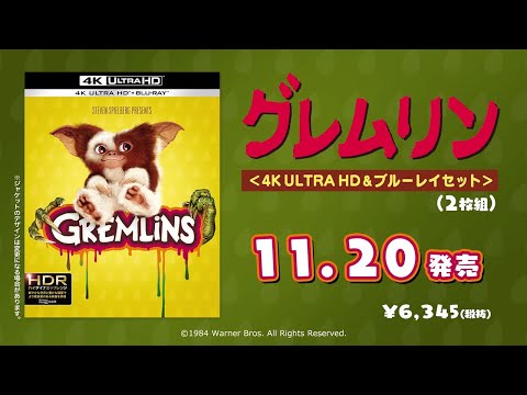 4KUHD/BD【予告編】『グレムリン』11.20リリース